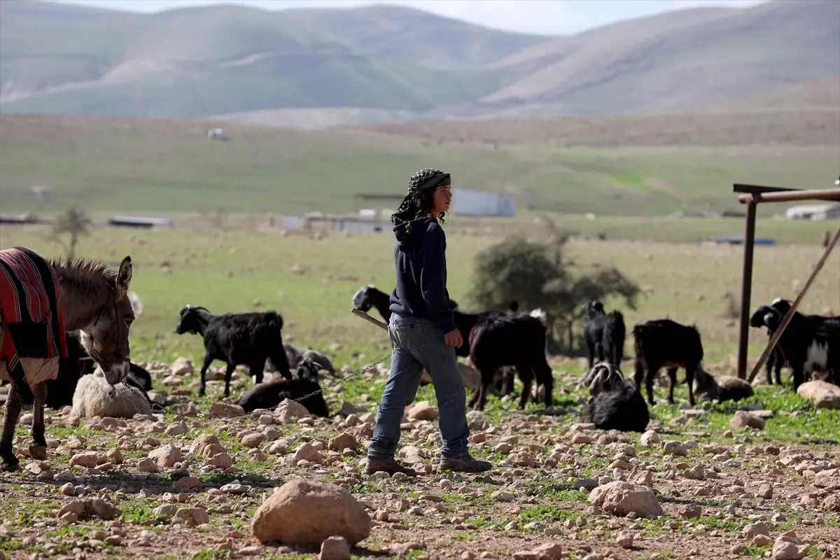 Batı Şeria’da İsrail Saldırıları Nedeniyle Göç Eden Filistinli Aileler