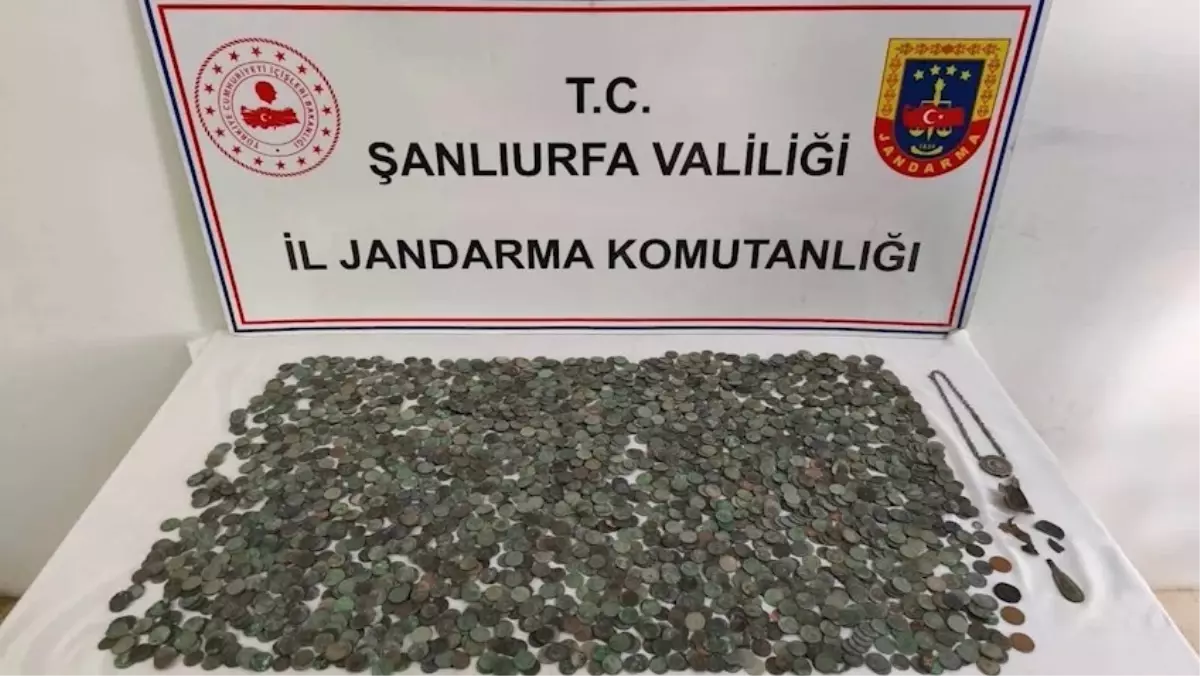 Şanlıurfa Ceylanpınar’da Jandarma’nın 2.644 Tarihi Eser Operasyonu