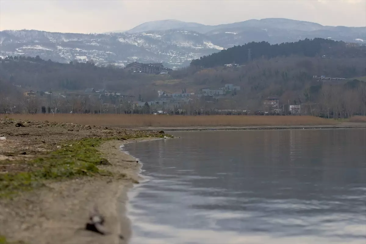 Sapanca Gölü'nde Su Seviyesi Son Yağışlarla 8 cm Artış Gösterdi
