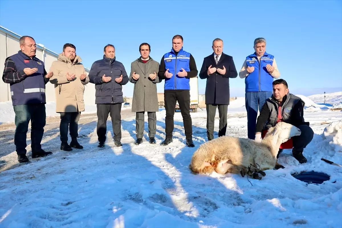 Sivas Belediyesi, Kar Yağışının Ardından Şükür Kurbanı Töreni Gerçekleştirdi