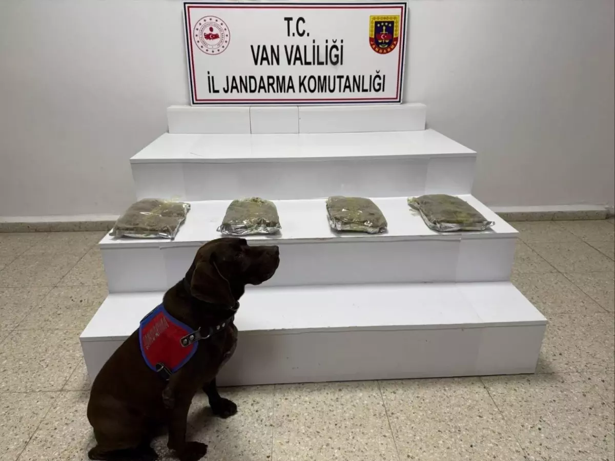 Van’ın Başkale İlçesinde 5,25 Kg Kubar Esrar Ele Geçirildi
