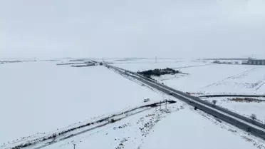 Karla kaplı tarlada yetişen buğday başakları