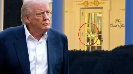 Oval Ofis'te Trump belge inceliyor