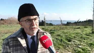 Veteriner koç muayenesi sırasında