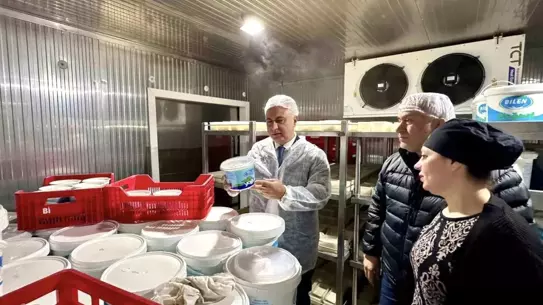 Denetim sırasında laboratuvar testleri