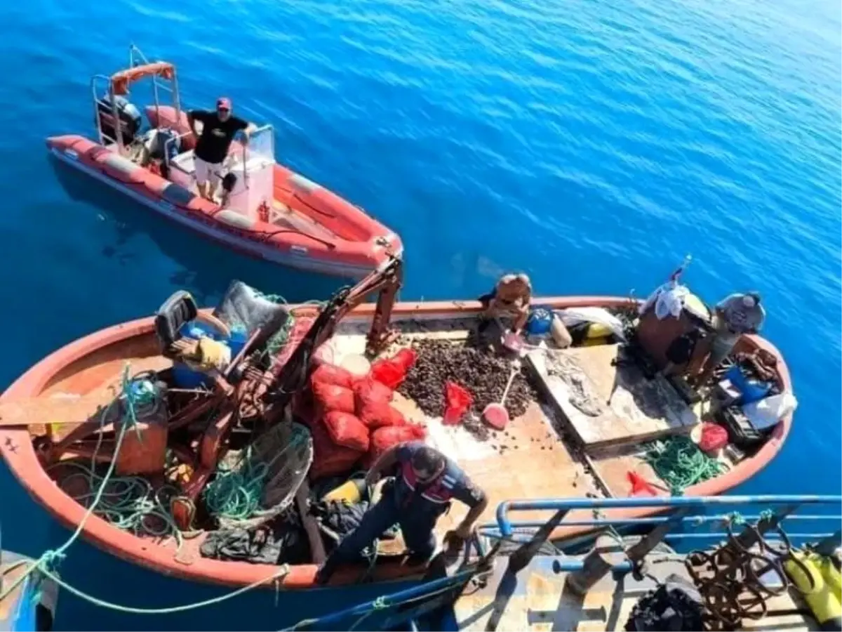 Aydın’da Su Ürünleri Denetim Sayısı 2025’te Rekor Kırdı