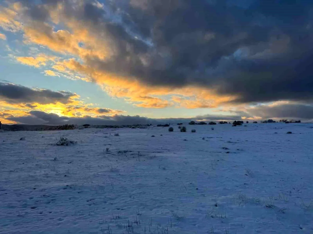 Çimsa, Bozüyük Beyaz Kalker Sahası’nın Ruhsat İptal Sürecini Başlattı