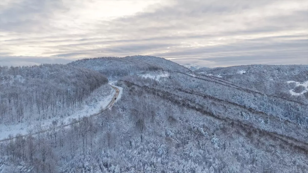 Alaçam'da Bembeyaz Ormanlar: Kar Manzarası Şehri Süsledi