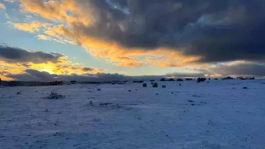 Çimsa Beyaz Kalker sahasından kireç taşı örnekleri