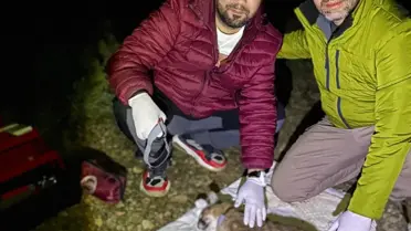 Karakulakların Akdeniz ekosistemindeki rolü