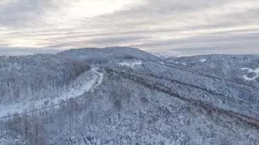 Dronla çekilmiş Alaçam ormanlarının karla kaplı panoraması