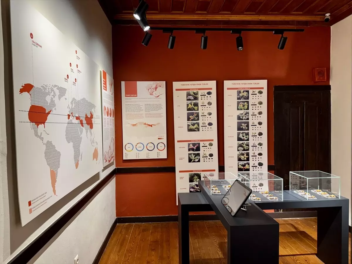 Kahraman Sağra Fındık Müzesi: Ordu’da Fındığın Yolculuğu