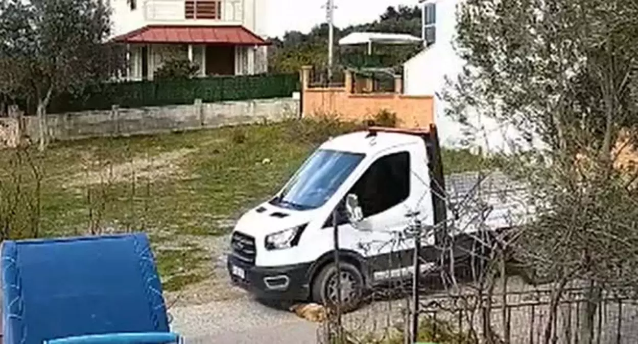 İzmir'de Kamyonet, Yolda Yatan Köpeğin Üzerinden Geçti