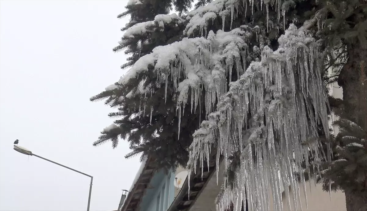 Kars ve Ardahan’da Sıfırın Altında: -20°C’ye Düşen Gece Sıcaklıkları