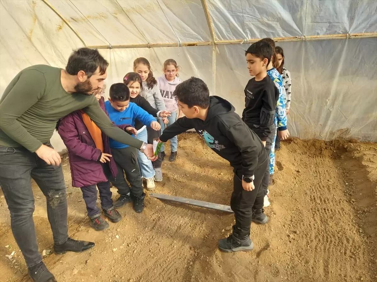 Keban'da Öğrenciler Serada Tohum Dikerek Tarım Bilincini Artırdı