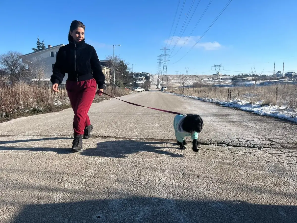 Veteriner Teknisyeni Yağmur Denli, Terk Edilen Köpeği Hera’yı Sahiplendi