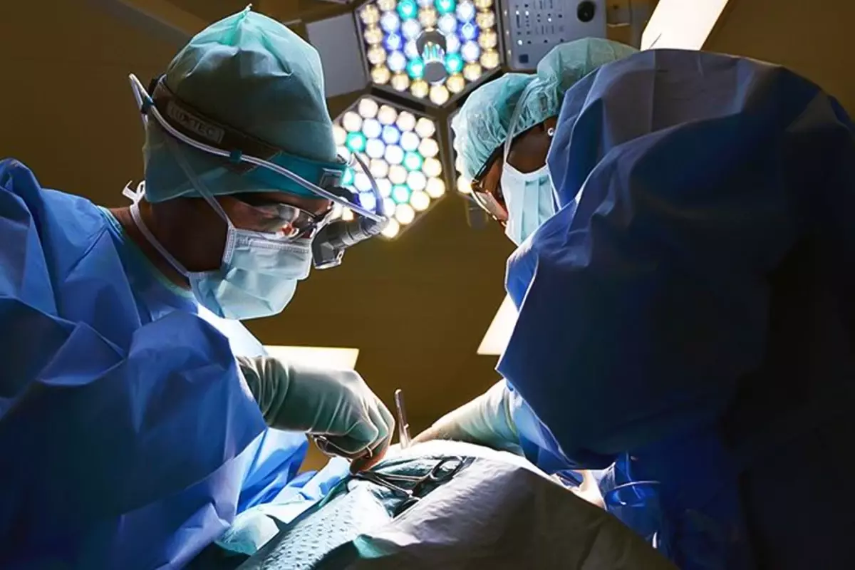 Organ Nakli Şebekesinde 'Teyze-Yeğen' Kandırmacası İstanbul’da Çözüldü