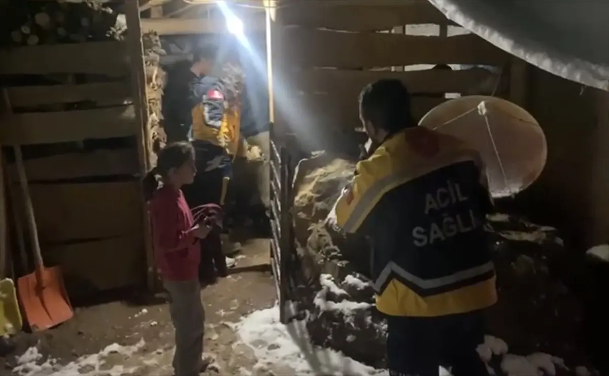 Şırnak'ta Karla Kapalı Köyde Acil Sağlık Müdahalesi