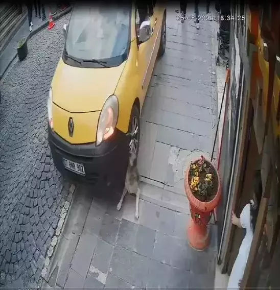 Olay yerinde çekilmiş fotoğraf 2