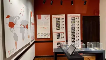 Fındık toplama ve işleme süreci