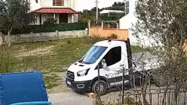 Köpek Meks'in üzerinden geçen kamyonet