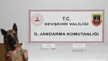 Jandarma operasyonundan elde edilen maddeler