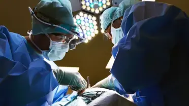 Organ Nakli Şebekesinde 'Teyze-Yeğen' Kandırmacası İstanbul’da Çözüldü