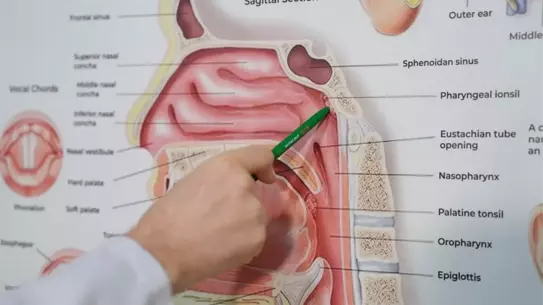 Adenoid ameliyatı öncesi ve sonrası