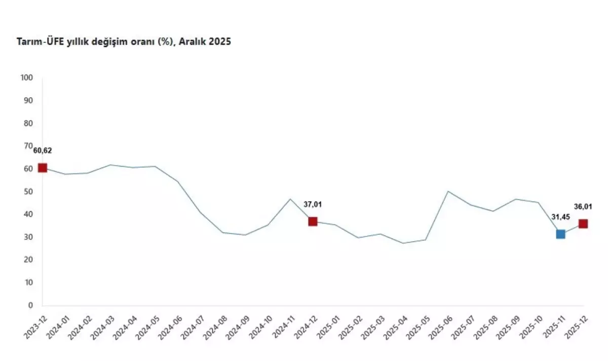 Tarım Ürünleri Üretici Fiyatlarında Aralık Ayı Artışı %36'ya Ulaştı