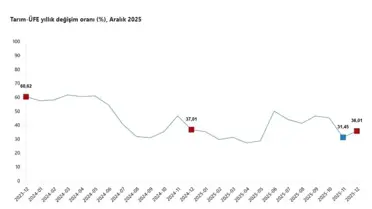 Tarım ürünleri fiyat artışı grafiği
