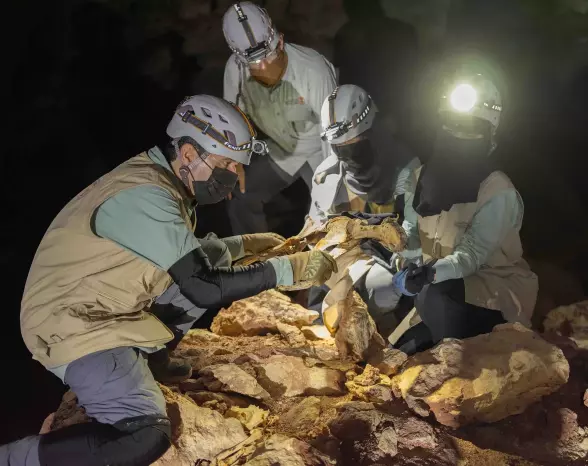 Laboratuvarda yapılan radyokarbon analizleri