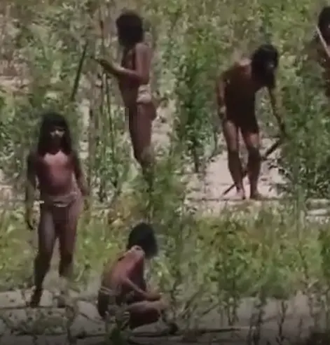 Sahile doğru ilerleyen kabile