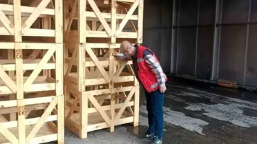 Denetlenen ısıl işlem fırınları