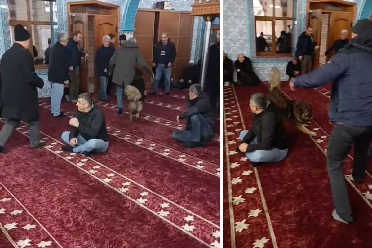 Zonguldak Kilimli’de Sokak Köpeği Camiyi Ziyaret Etti: Cemaatin Tepkileri Karışık