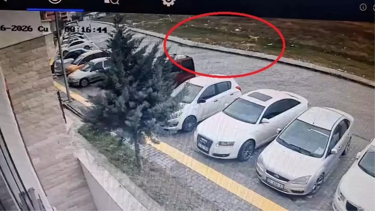 Suluova'da Karne Günü Kız Öğrencinin Sokak Köpeklerinden Kaçışı