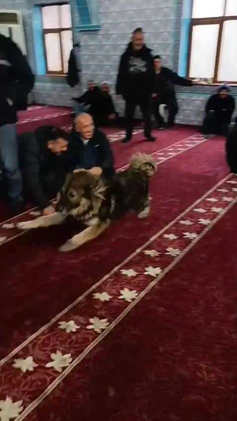 Cemaatin gülümseyen yüzleri