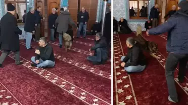 Zonguldak Kilimli’de Sokak Köpeği Camiyi Ziyaret Etti: Cemaatin Tepkileri Karışık