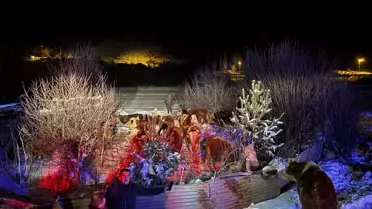 Kurtarılan büyükbaş hayvanların toplandığı alan