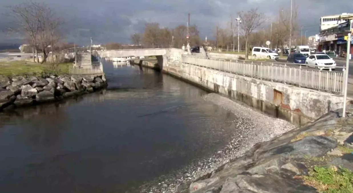 Menekşe Deresi'nde Su Seviyesi Düşüşü Tekne Geçişlerini Zorlaştırdı