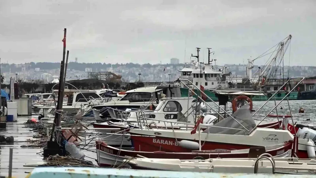 Karadeniz’de Lüfer Avı Sınırlı: Yasal Kısıtlamalar %95’ini Etkiliyor