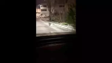 Tilkinin Av Anı Detaylı Görüntüsü