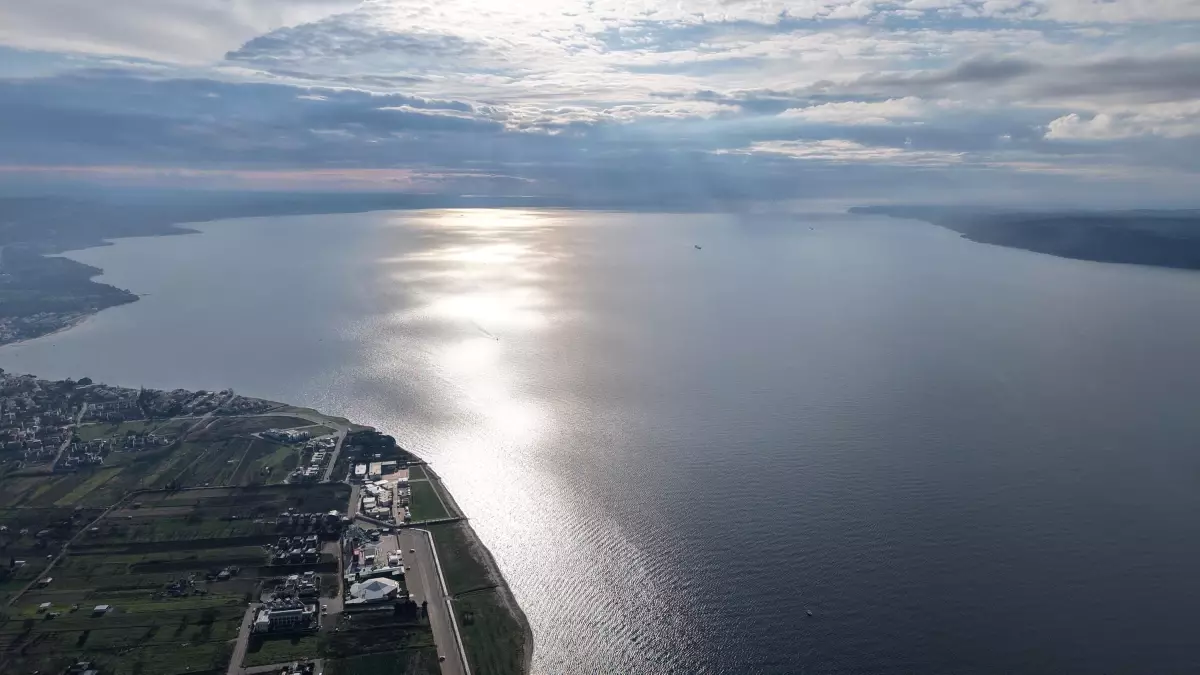 Çanakkale Boğazı'nda Nesli Tehlike Altındaki Pinna Nobilis İçin Koruma Projesi Başlatıldı