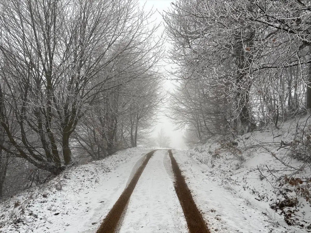 Lapseki Dumanlı Köyü Karla Kaplandı: Vatandaşlar Eğlenirken Sürücüler Uyarıldı