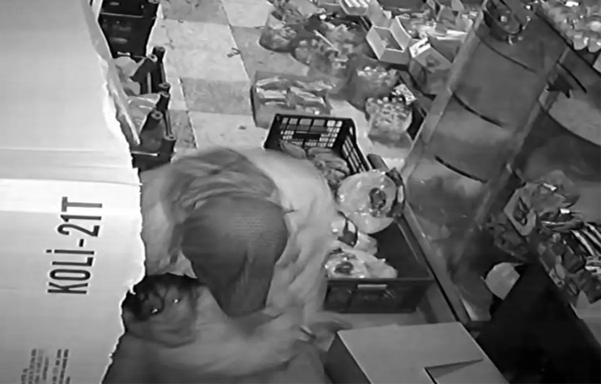 Gaziantep’te 11 Yaşındaki Kız, Atkısıyla Bıçaklı Saldırıyı Önledi