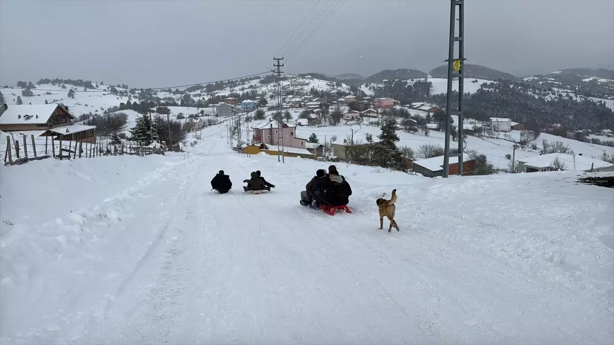 Samsun'un Kızlan Yaylası'nda Kış Eğlencesi: Kar ve Kızak