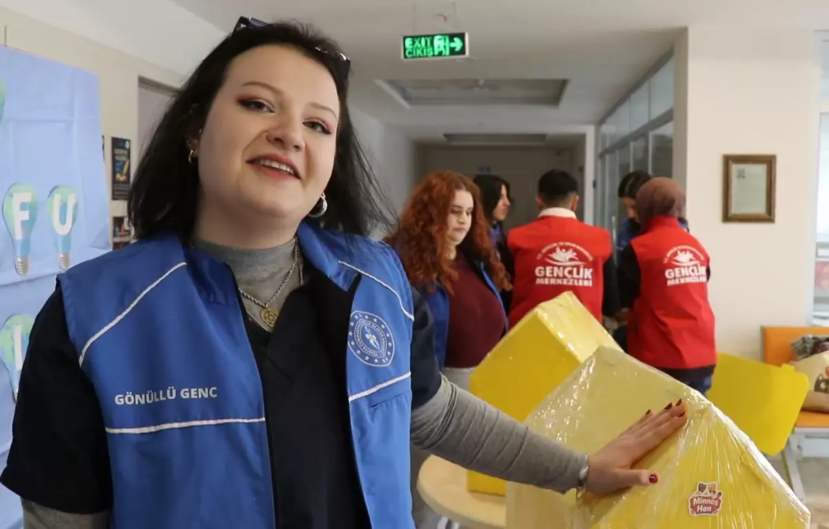 Oltu’da Sokak Kedileri İçin Sıcak Kış Evleri İnşa Edildi