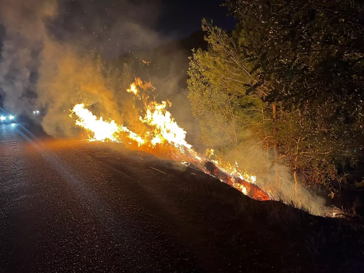 Kozan’da Çıkan Yangın Hızla Kontrol Altına Alındı