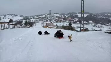 Kızakla kayarken görüntü