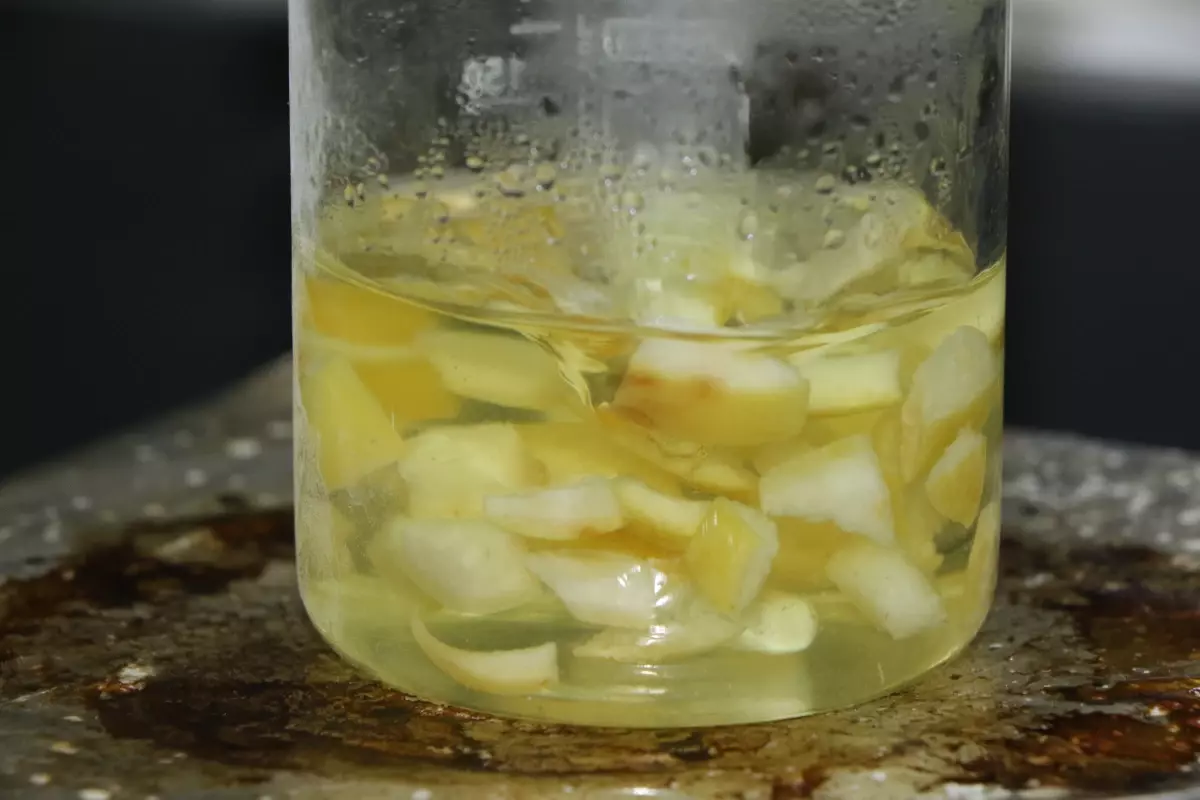 Ağaç Kavunu Kabuklarından Geliştirilen Yenilikçi Hidrojel: İlaç Taşıma ve Su Emme Potansiyeli