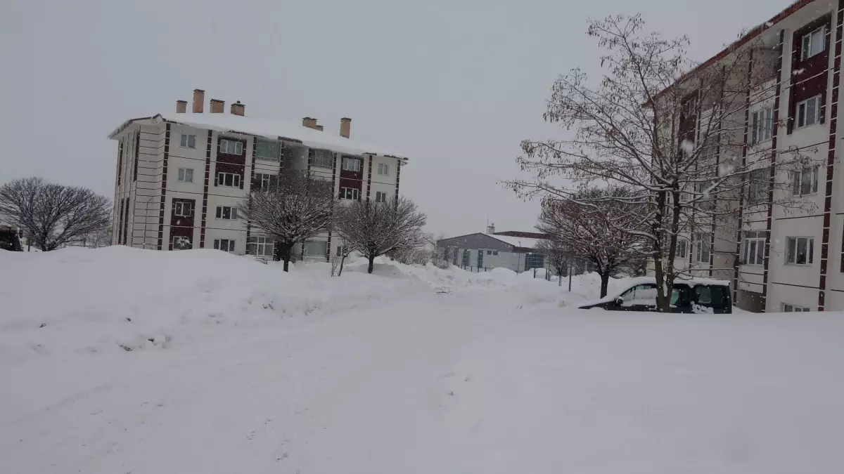 Bitlis’te Şiddetli Kar Yağışı 128 Köyü İzole Etti